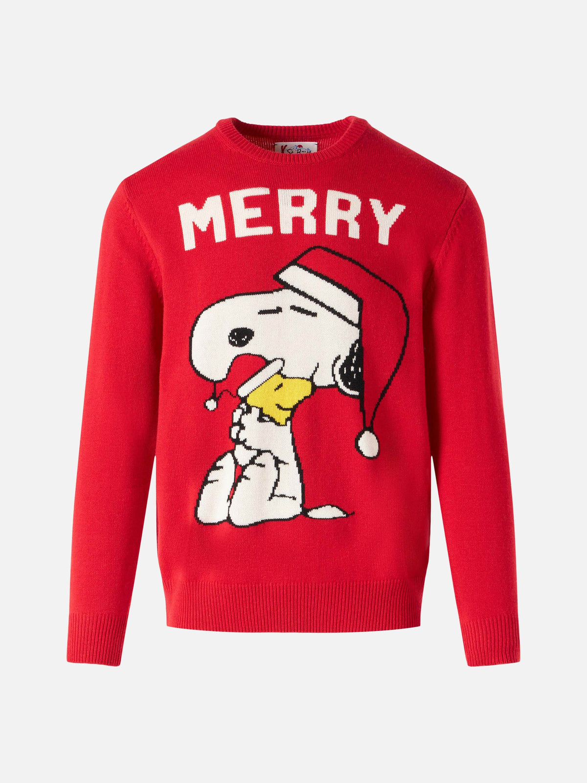Heron Snoopy Merry sweater | Special Edition