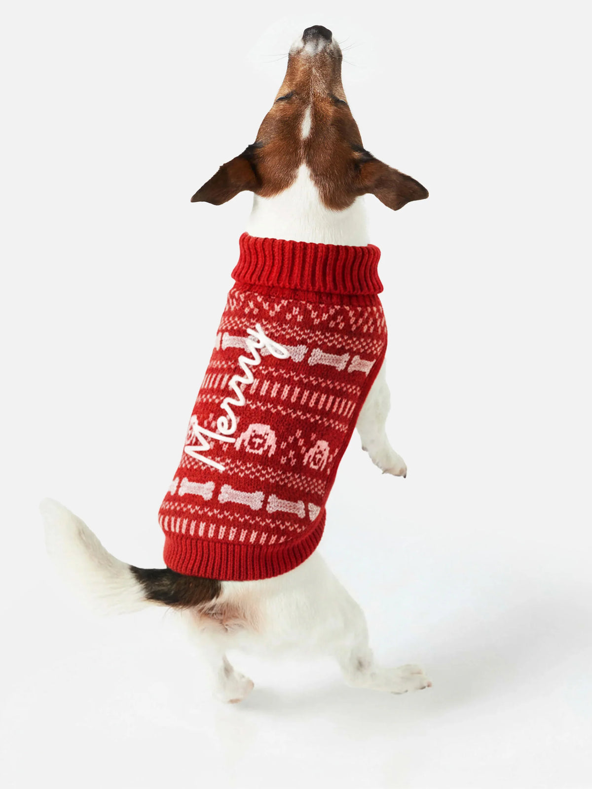 Dog sweater with Merry embroidery