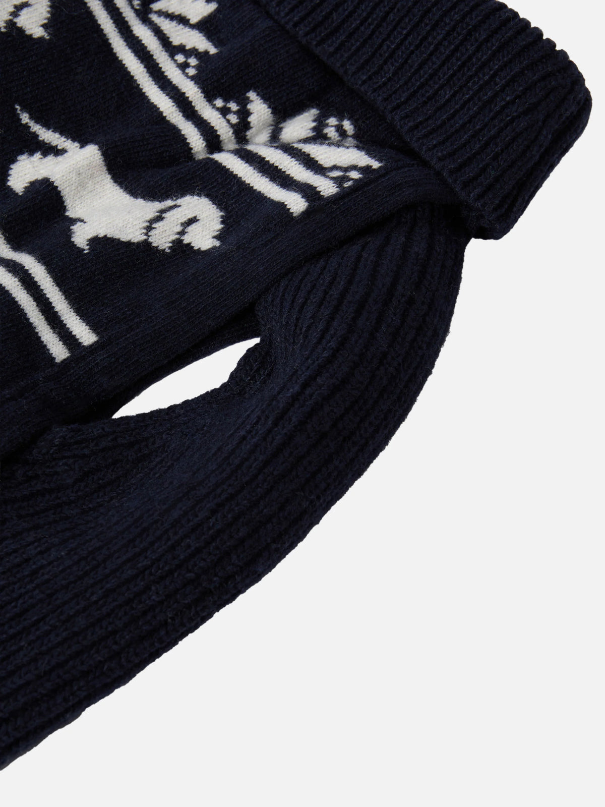 Dog sweater with Infedele embroidery